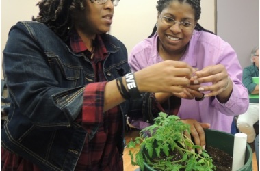 Kids and Adults Enjoy Leon County’s Seed Program