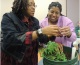 Kids and Adults Enjoy Leon County’s Seed Program