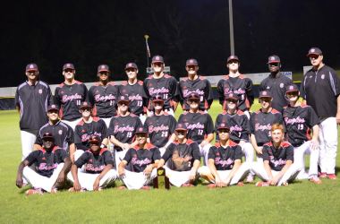 Eagles Complete Incredible Season in State Baseball