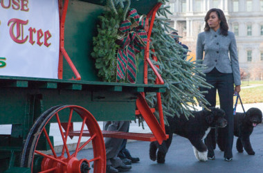 First Lady Michelle Obama receives White House Christmas tree