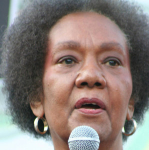 Dr. Frances Cress Welsing is noted for her “Cress Theory of Color Confrontation,” which explores the practice of White supremacy. This photograph was taken during the  10th Annual National Black L.U.V. Festival in Washington D.C. on September 21, 2008.  (Elvert Xavier Barnes Photography/Creative Commons)