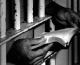 Democratic platform committee calls for end to mass incarceration