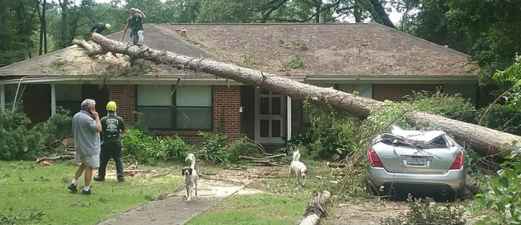 Hurricane Hermine devastated several areas on the south side, including Myers Park where a family house and car damage. Photos by St. Clair Murraine