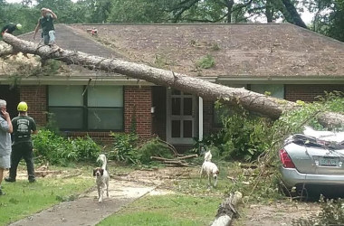 Local pastors show support for	Mayor Gillum in midst of storm criticism