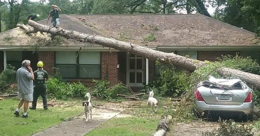 Local pastors show support for	Mayor Gillum in midst of storm criticism