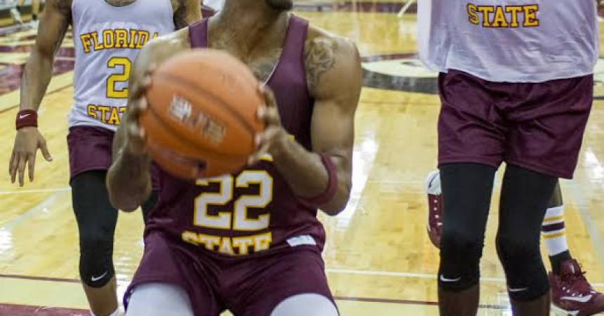 Hamilton likes FSU’s basketball mix of talent