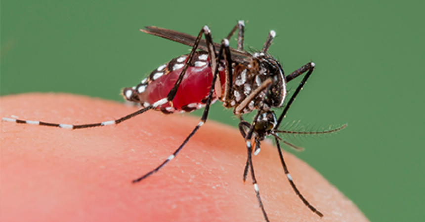 FSU scientist starts research for early detection of zika