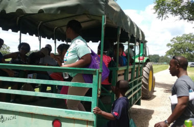 FAMU Farm Fest turns into a growing experience