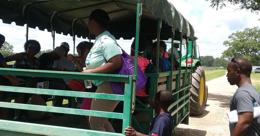 FAMU Farm Fest turns into a growing experience