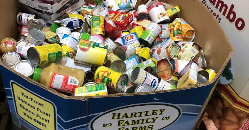 Stuff the Bus: A food drive against hunger