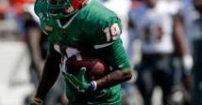 Nine FAMU football players make all-MEAC teams