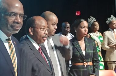 Panel discussion on Black vote energizes town hall crowd