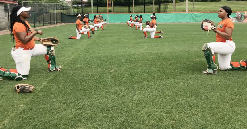 FAMU to begin field resurfacing at softball complex