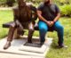 Removal completes saga of Eppes statue