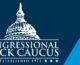 Congressional Black Caucus elects executive committee for the 117th Congress