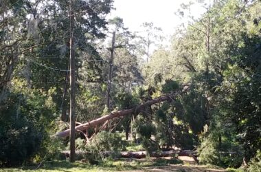 Florida can thank ‘luck’ as hurricane season ends