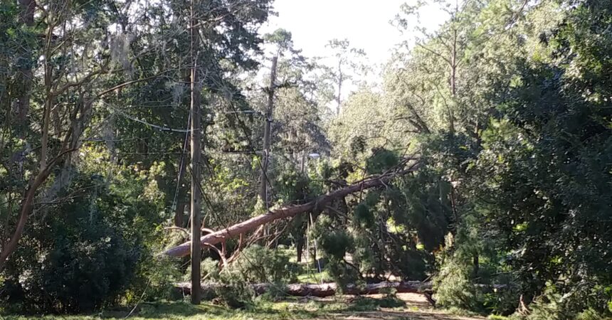 Florida can thank ‘luck’ as hurricane season ends