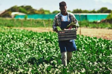 After a century of land theft and exclusion, Black farmers getting needed government aid