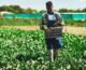 After a century of land theft and exclusion, Black farmers getting needed government aid