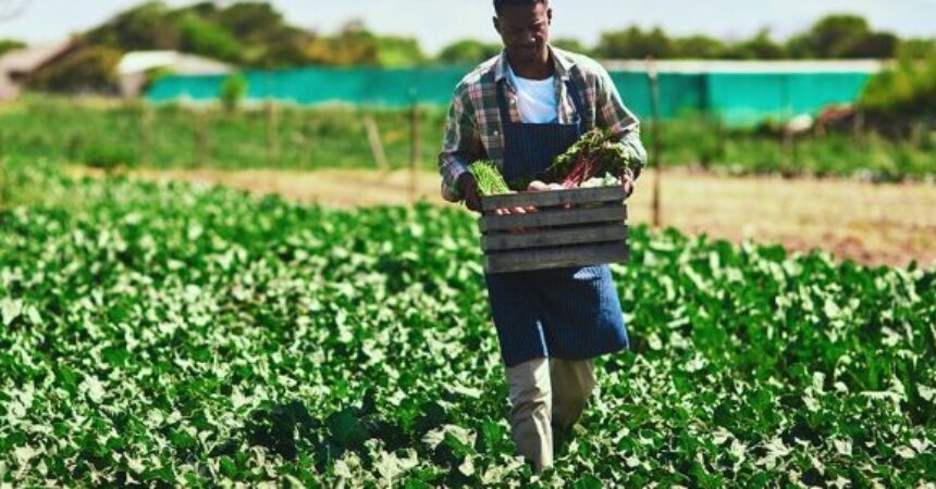 After a century of land theft and exclusion, Black farmers getting needed government aid