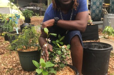 ‘Generational’ garden providing food security in the Black community