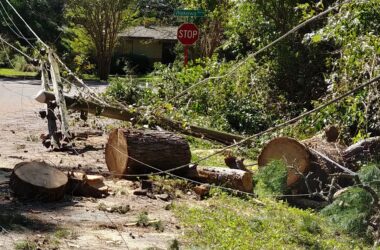 Active hurricane season expected