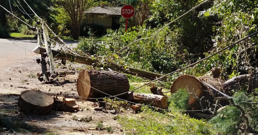 Active hurricane season expected