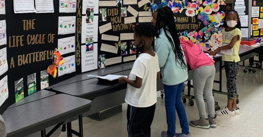 Oak Ridge Elementary students display skills at science fair