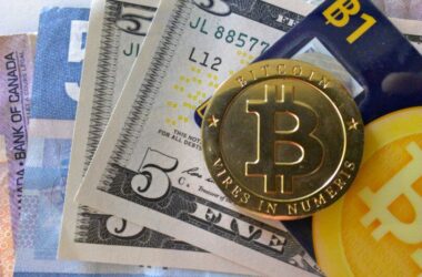 Young Black Americans dominate the crypto-currency market