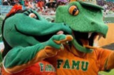 FAMU forms partnership to support student-athlete mental health