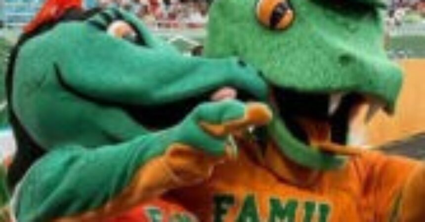 FAMU forms partnership to support student-athlete mental health