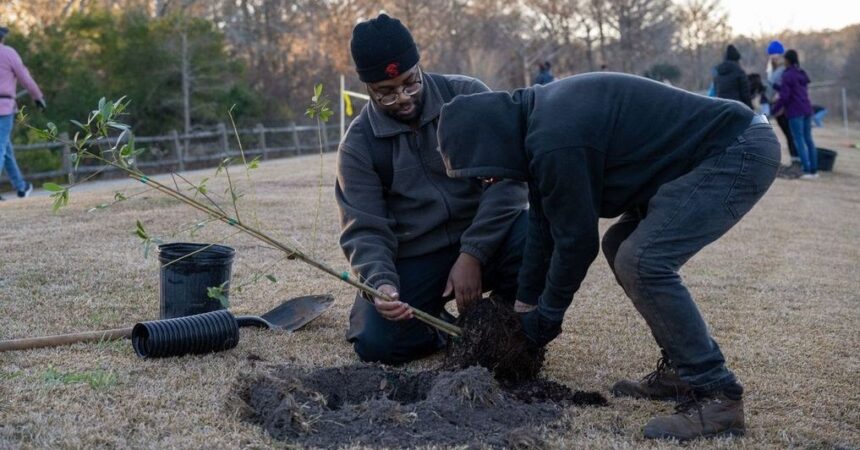 Leon County celebrates Arbor Day with tree planting